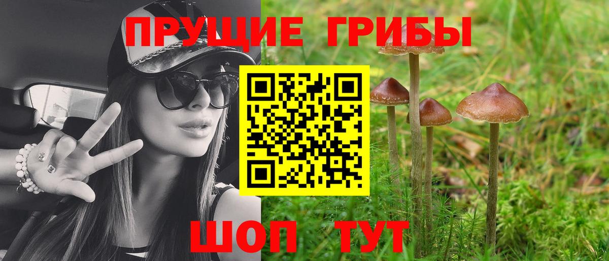 закладка  Вход с VPN  Буйнакск  Галлюциногенные грибы мицелий 