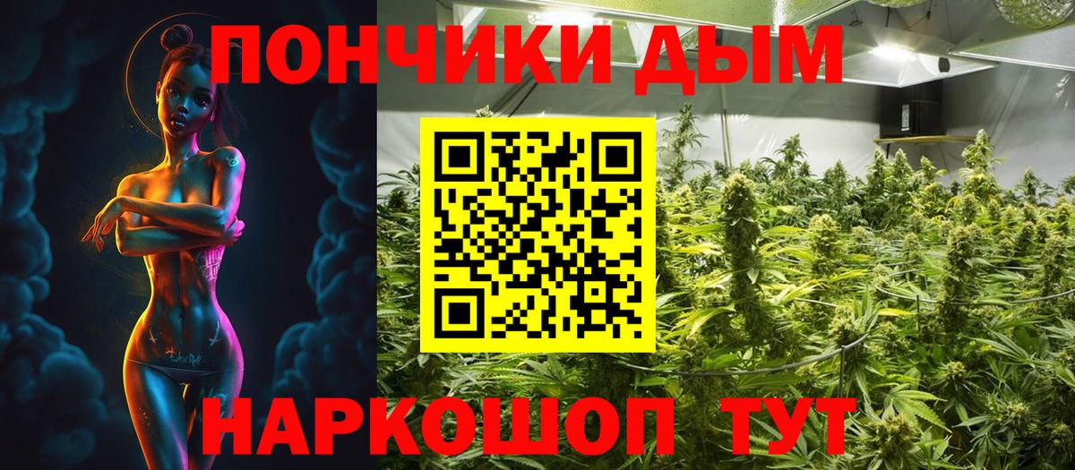 Бошки Шишки SATIVA & INDICA  Вход с VPN  Конопля SATIVA & INDICA  Конопля ГИДРОПОН  Буйнакск 